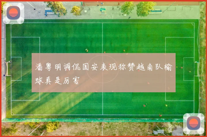 潘粤明调侃国安表现称赞越南队输球真是厉害